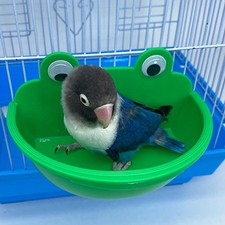 Abreuvoir pour perroquets, Cage à eau pour oiseaux, bol pour calopsittes,