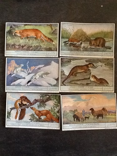 Lot chromos liebig serie - liebig,