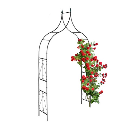 Arche rosier tonnelle - à,