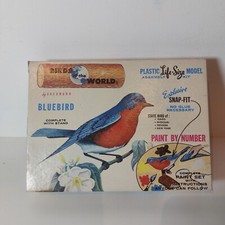 bachmann birds of the world