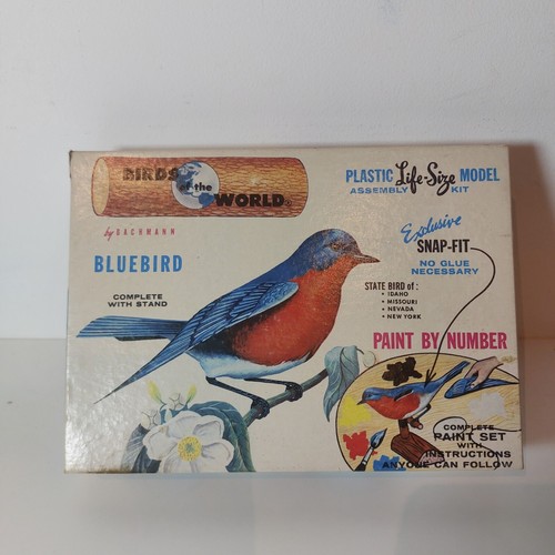 Bachmann birds the world - the,