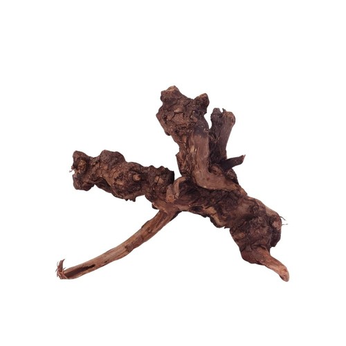 Aquarium racine driftwood en - aquarium,