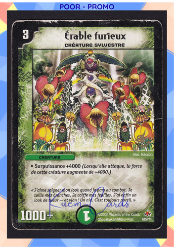 Erable furieux sylvestre promo - erable,