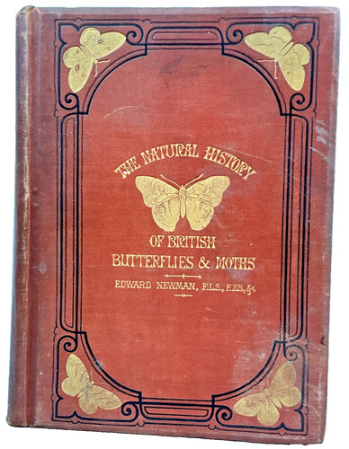 British butterflies and moths - butterflies,
