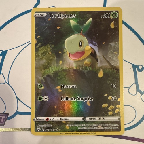 Nintendo pokémon jcc - nintendo,