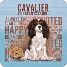 Dessous-de-verre De Boissons