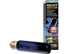 2 ampoules nocturne à