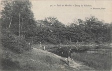 92 MEUDON ETANG - 56441
