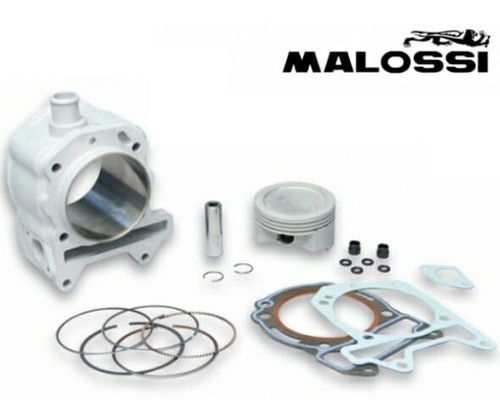Groupe thermique malossi - groupe,