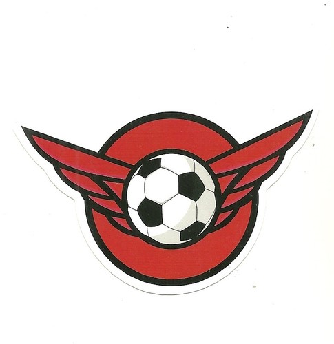 Sticker football - sticker,