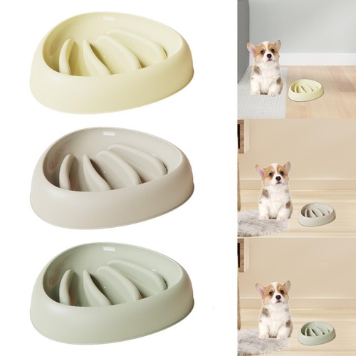 Gamelle pour chien - , à