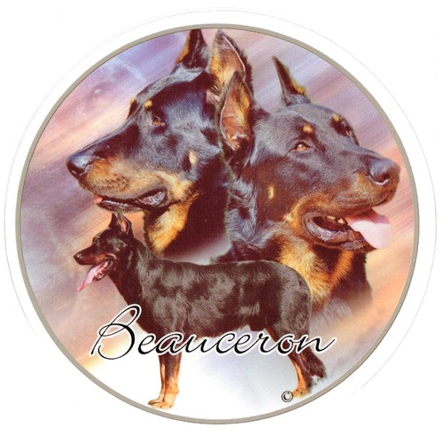 Sticker motif beauceron - sticker,