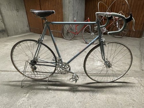 Ale singer reynolds 531 - ale,