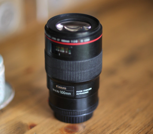 Canon 100mm 8l macro is - ef,