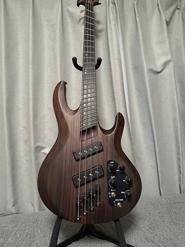 Esp ltd string - esp, active