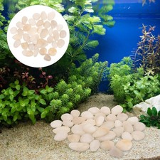  Gravier Pour Aquarium Roches