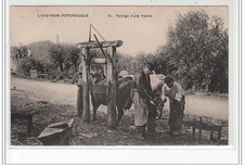 Le ferrage d'une vache dans l'Aveyron (Marshal-Ferrant) - very good condition