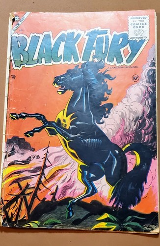 Black fury volume 1 - fury,