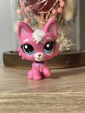 ?Petshop Chat Persian 3561?