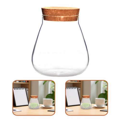Bocal verre terrarium pour - en,