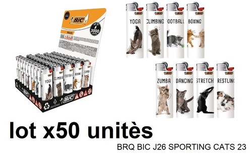 Bic briquet chat cat brq - cat,
