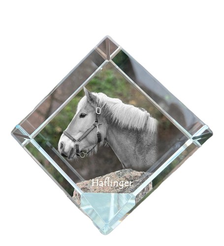 Haflinger kristallwürfel - haflinger,