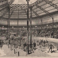 L'Hippodrome transformé - metal frame - press engraving 1878
