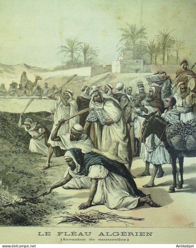 Algérie invasion - , de