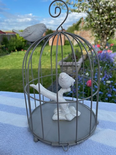 Cage avec oiseaux decorative - avec,
