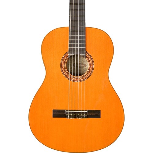 Washburn classical acoustic - washburn,
