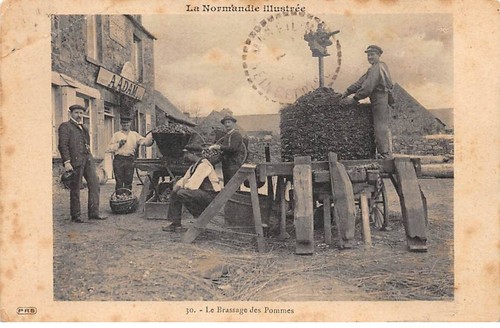 Normandie san58220 - normandie,
