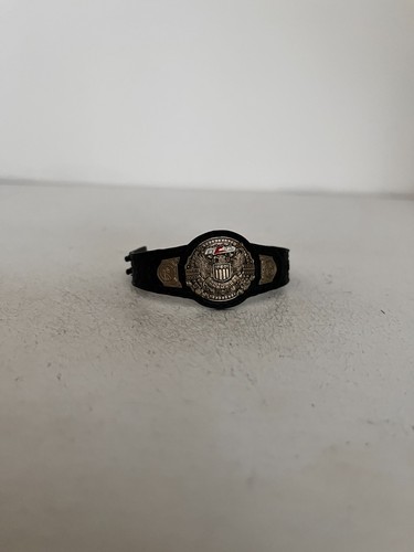 Mlw national championship - national,