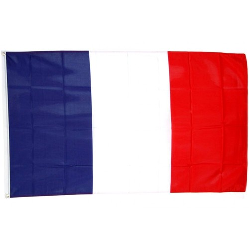 Drapeau france étendard - drapeau,