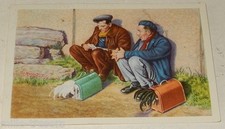 Image CHROMO COTE D'OR Collection FOLKLORE BELGE N°231 - Concours chants de coqs