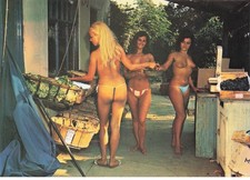 VAR ILE DU LEVANT (naturist center) market time