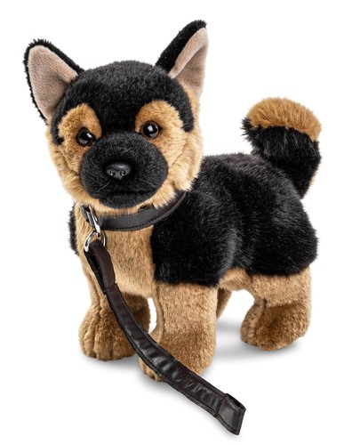 Chiot berger allemand debout - allemand,