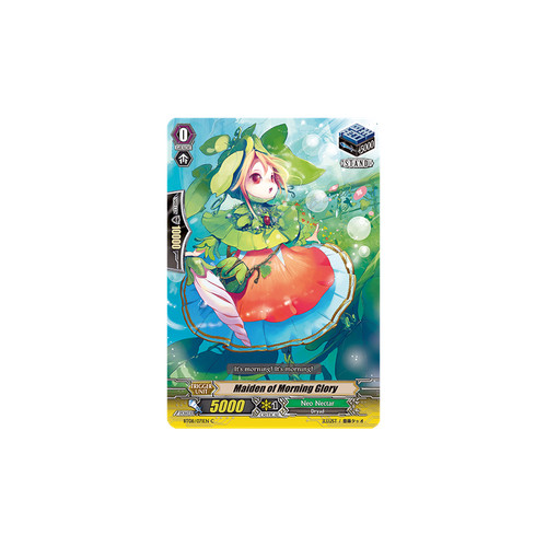 Vanguard tcg card - tcg,
