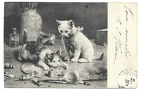 ILLUSTRATION - CHATONS JOUANT