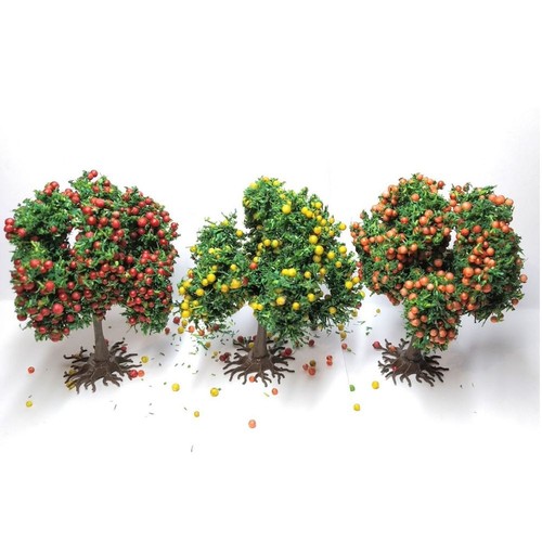 Arbres fruitiers - 3, cm