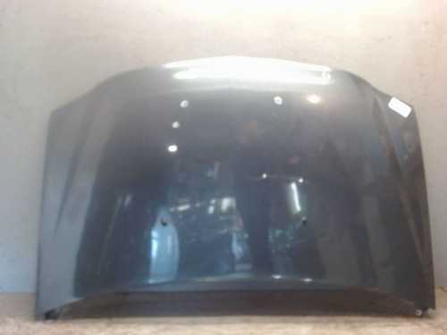 Capot dacia logan - capot,