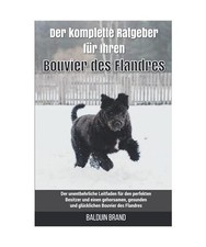 Der komplette Ratgeber für