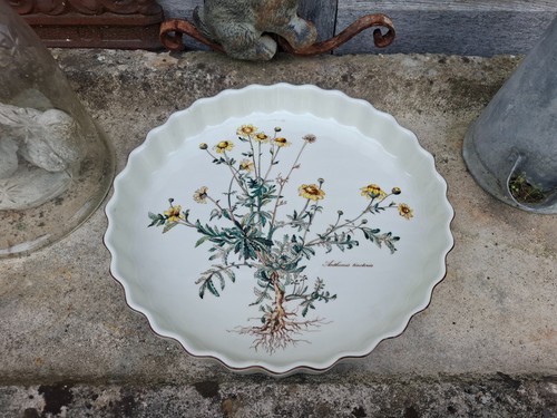 Villeroy boch botanica - boch, plat