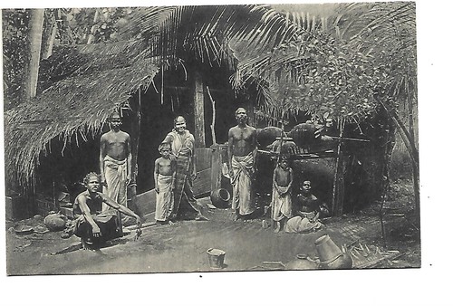 Sri lanka colombo - colombo, native