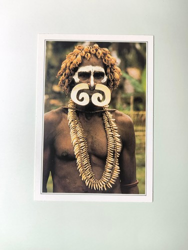 Photo guerriero asmat - photo,