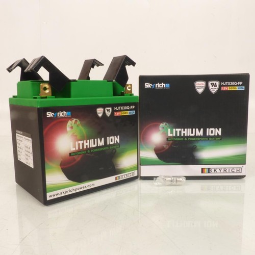 Batterie lithium skyrich pour - lithium,