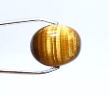 Minerals Collection - Cut Gem - Tiger's Eye - South Africa - 9.40 carats