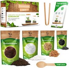 DIY Terrarium Kit for Plants