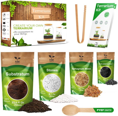 Diy terrarium kit for - kit,