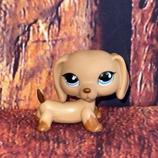 LPS #1211 Littlest Petshop CHIEN TECKEL Dog Dachshund Hasbro RARE