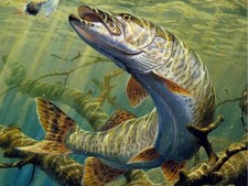 PLAQUE EN METAL   PECHE